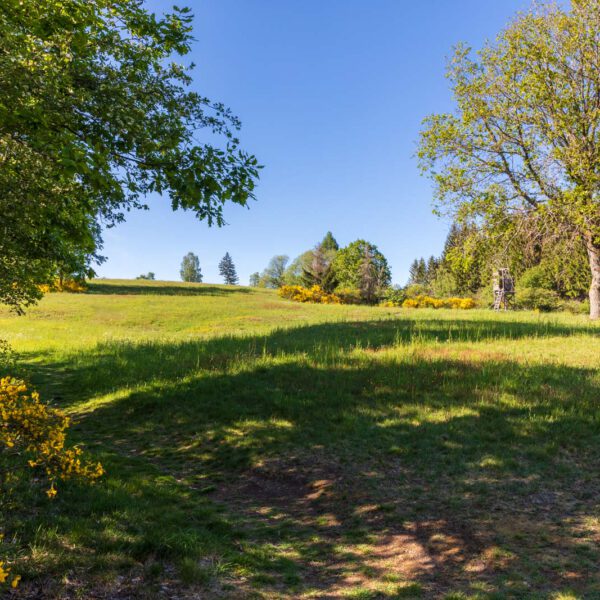 Deutschland, Europa, Europe, Extratour, Frühling, Germany, Hessen, Hessia, Hinterland, Lahn-Dill-Bergland, Location, Ort, Spring, Wandern