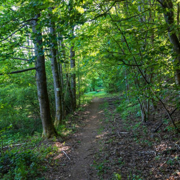 Deutschland, Europa, Europe, Extratour, Frühling, Germany, Hessen, Hessia, Hinterland, Lahn-Dill-Bergland, Location, Ort, Spring, Wandern