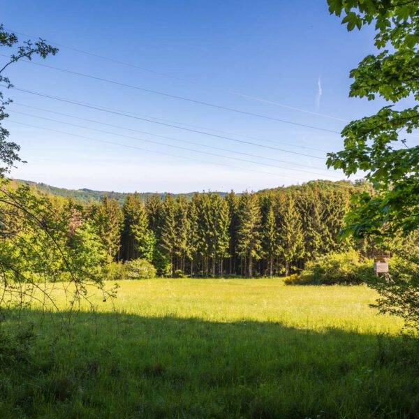 Deutschland, Europa, Europe, Extratour, Frühling, Germany, Hessen, Hessia, Hinterland, Lahn-Dill-Bergland, Location, Ort, Spring, Wandern