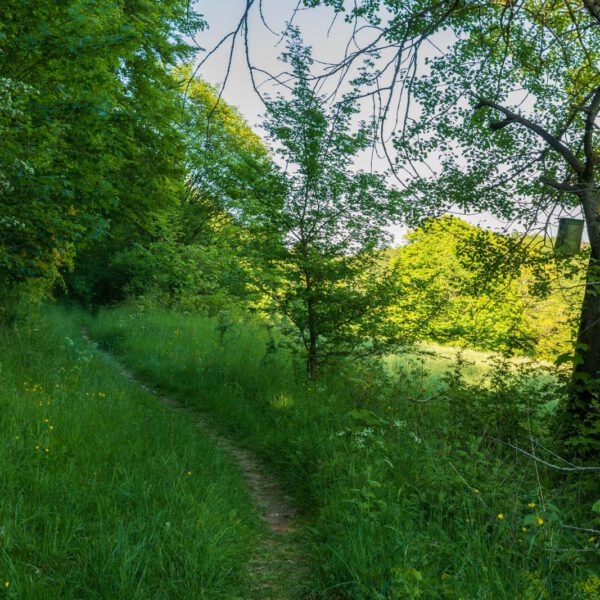 Deutschland, Europa, Europe, Extratour, Frühling, Germany, Hessen, Hessia, Hinterland, Lahn-Dill-Bergland, Location, Ort, Spring, Wandern