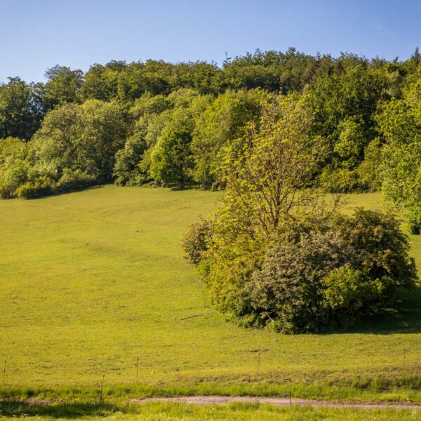 Deutschland, Europa, Europe, Extratour, Frühling, Germany, Hessen, Hessia, Hinterland, Lahn-Dill-Bergland, Location, Ort, Spring, Wandern