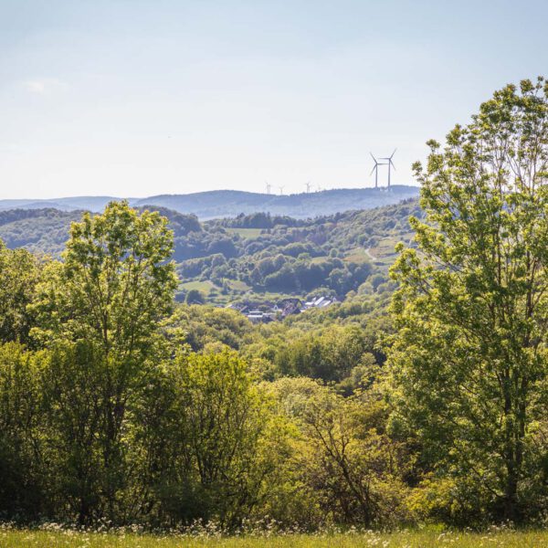 Deutschland, Europa, Europe, Extratour, Frühling, Germany, Hessen, Hessia, Hinterland, Lahn-Dill-Bergland, Location, Ort, Spring, Wandern