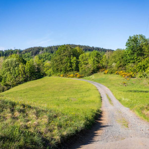 Deutschland, Europa, Europe, Extratour, Frühling, Germany, Hessen, Hessia, Hinterland, Lahn-Dill-Bergland, Location, Ort, Spring, Wandern