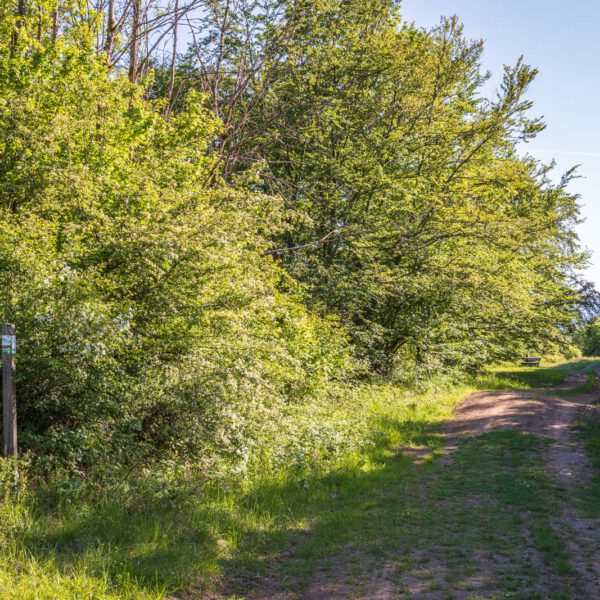Deutschland, Europa, Europe, Extratour, Frühling, Germany, Hessen, Hessia, Hinterland, Lahn-Dill-Bergland, Location, Ort, Spring, Wandern