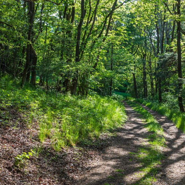 Deutschland, Europa, Europe, Extratour, Frühling, Germany, Hessen, Hessia, Hinterland, Lahn-Dill-Bergland, Location, Ort, Spring, Wandern