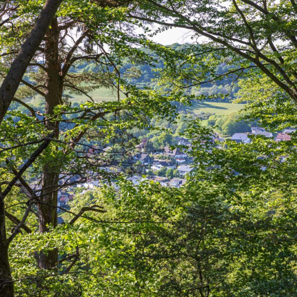 Deutschland, Europa, Europe, Extratour, Frühling, Germany, Hessen, Hessia, Hinterland, Lahn-Dill-Bergland, Location, Ort, Spring, Wandern