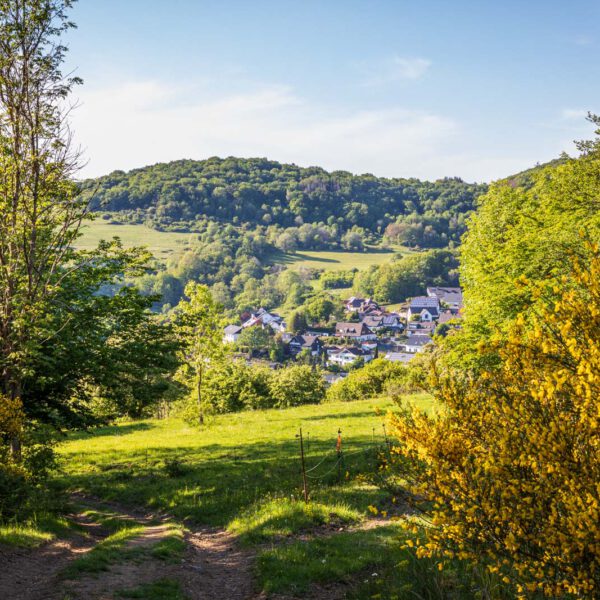 Deutschland, Europa, Europe, Extratour, Frühling, Germany, Hessen, Hessia, Hinterland, Lahn-Dill-Bergland, Location, Ort, Spring, Wandern