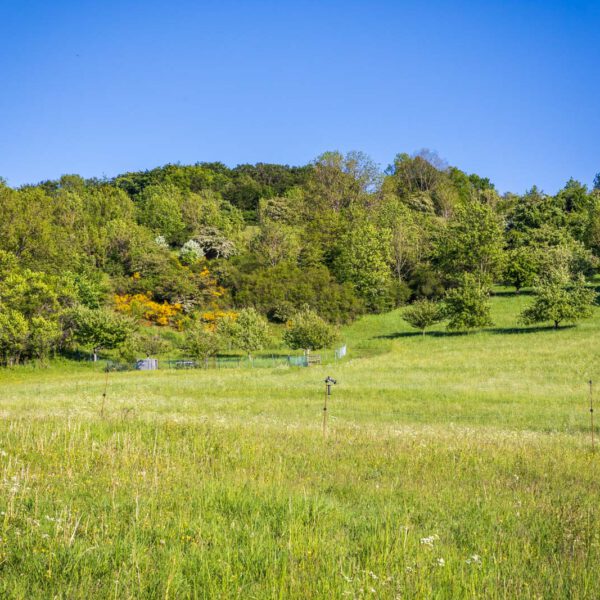 Deutschland, Europa, Europe, Extratour, Frühling, Germany, Hessen, Hessia, Hinterland, Lahn-Dill-Bergland, Location, Ort, Spring, Wandern