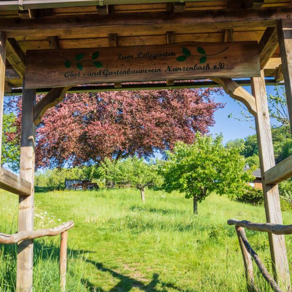 Deutschland, Europa, Europe, Extratour, Frühling, Germany, Hessen, Hessia, Hinterland, Lahn-Dill-Bergland, Location, Ort, Spring, Wandern