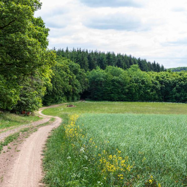 Deutschland, Europa, Europe, Extratour, Frühling, Germany, Hessen, Hessia, Hinterland, Lahn-Dill-Bergland, Location, Ort, Spring, Wandern