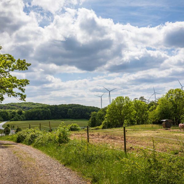 Deutschland, Europa, Europe, Extratour, Frühling, Germany, Hessen, Hessia, Hinterland, Lahn-Dill-Bergland, Location, Ort, Spring, Wandern