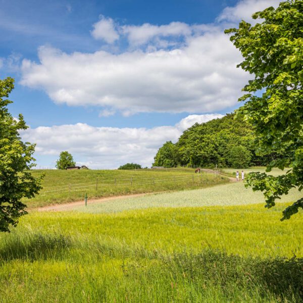 Deutschland, Europa, Europe, Extratour, Frühling, Germany, Hessen, Hessia, Hinterland, Lahn-Dill-Bergland, Location, Ort, Spring, Wandern