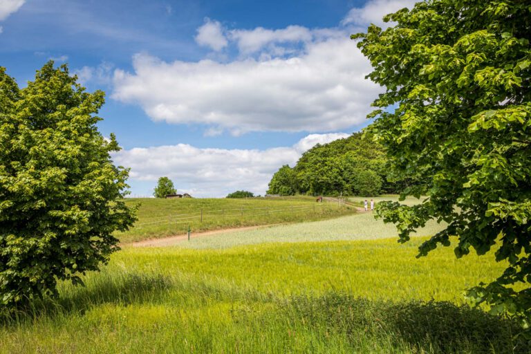 Deutschland, Europa, Europe, Extratour, Frühling, Germany, Hessen, Hessia, Hinterland, Lahn-Dill-Bergland, Location, Ort, Spring, Wandern
