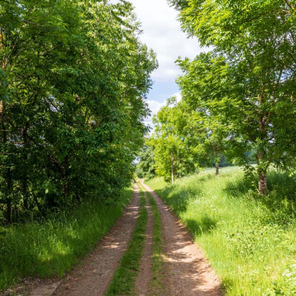 Deutschland, Europa, Europe, Extratour, Frühling, Germany, Hessen, Hessia, Hinterland, Lahn-Dill-Bergland, Location, Ort, Spring, Wandern