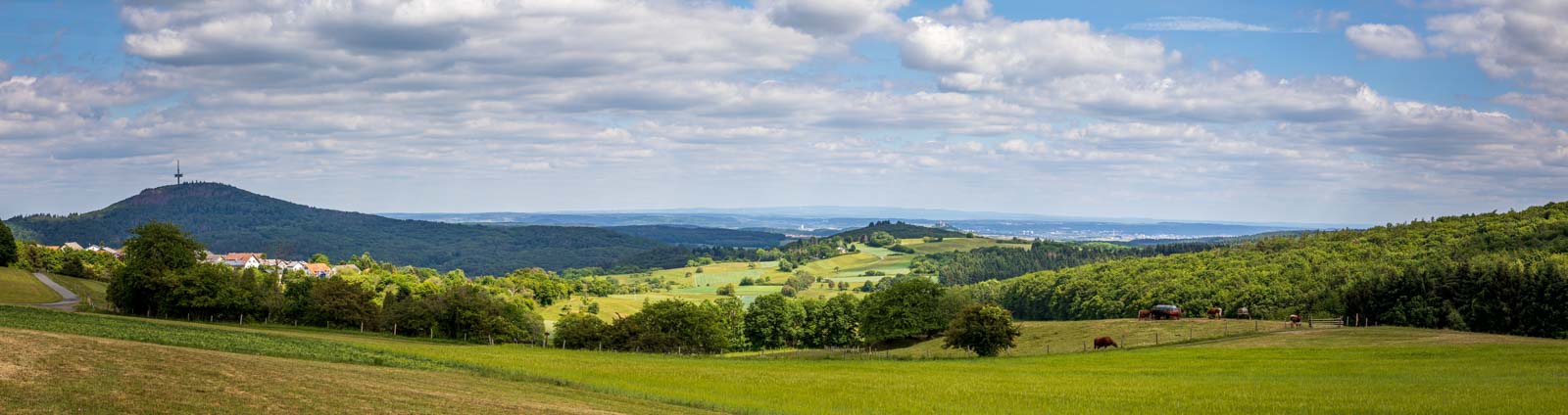 Deutschland, Europa, Europe, Extratour, Frühling, Germany, Hessen, Hessia, Hinterland, Lahn-Dill-Bergland, Location, Ort, Spring, Wandern