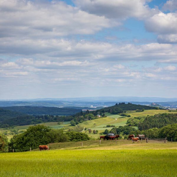 Deutschland, Europa, Europe, Extratour, Frühling, Germany, Hessen, Hessia, Hinterland, Lahn-Dill-Bergland, Location, Ort, Spring, Wandern