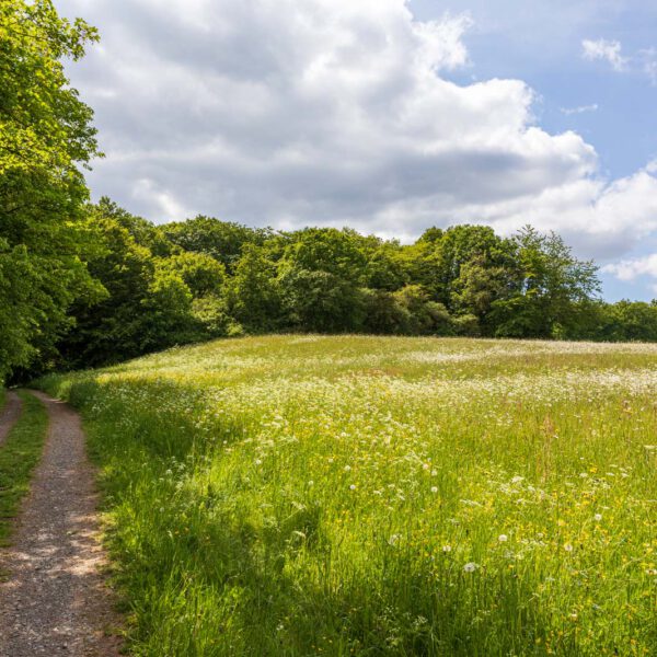 Deutschland, Europa, Europe, Extratour, Frühling, Germany, Hessen, Hessia, Hinterland, Lahn-Dill-Bergland, Location, Ort, Spring, Wandern