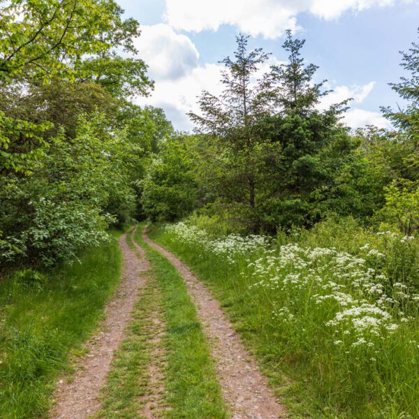 Deutschland, Europa, Europe, Extratour, Frühling, Germany, Hessen, Hessia, Hinterland, Lahn-Dill-Bergland, Location, Ort, Spring, Wandern