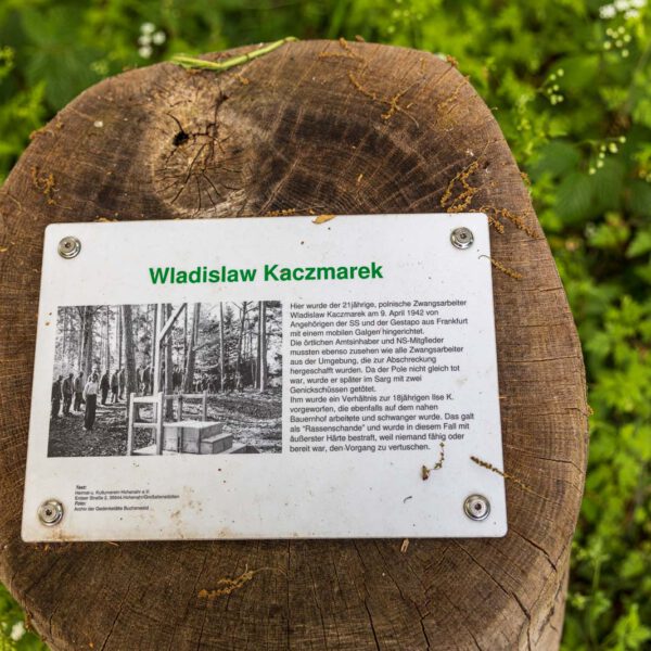 Deutschland, Europa, Europe, Extratour, Frühling, Germany, Hessen, Hessia, Hinterland, Lahn-Dill-Bergland, Location, Ort, Spring, Wandern