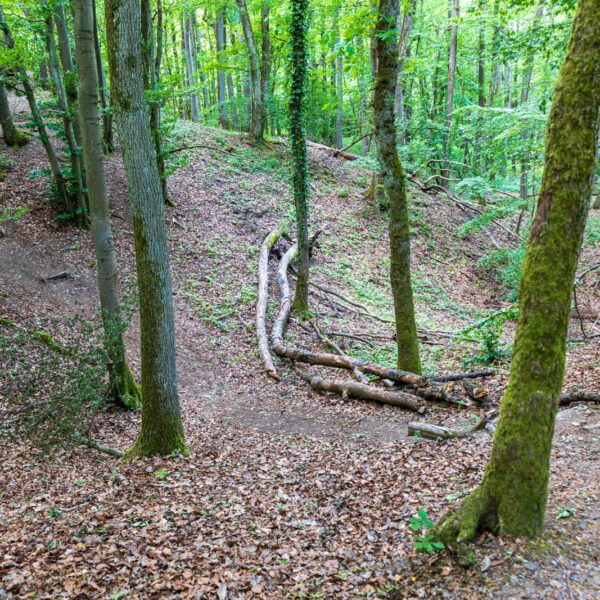 Deutschland, Europa, Europe, Extratour, Frühling, Germany, Hessen, Hessia, Hinterland, Lahn-Dill-Bergland, Location, Ort, Spring, Wandern