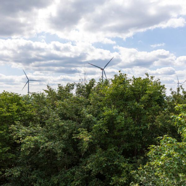 Deutschland, Europa, Europe, Extratour, Frühling, Germany, Hessen, Hessia, Hinterland, Lahn-Dill-Bergland, Location, Ort, Spring, Wandern