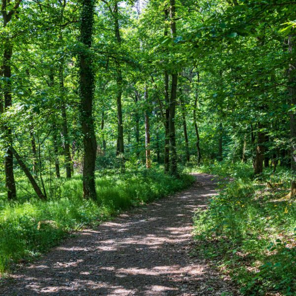 Deutschland, Europa, Europe, Extratour, Frühling, Germany, Hessen, Hessia, Hinterland, Lahn-Dill-Bergland, Location, Ort, Spring, Wandern