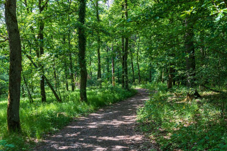 Deutschland, Europa, Europe, Extratour, Frühling, Germany, Hessen, Hessia, Hinterland, Lahn-Dill-Bergland, Location, Ort, Spring, Wandern