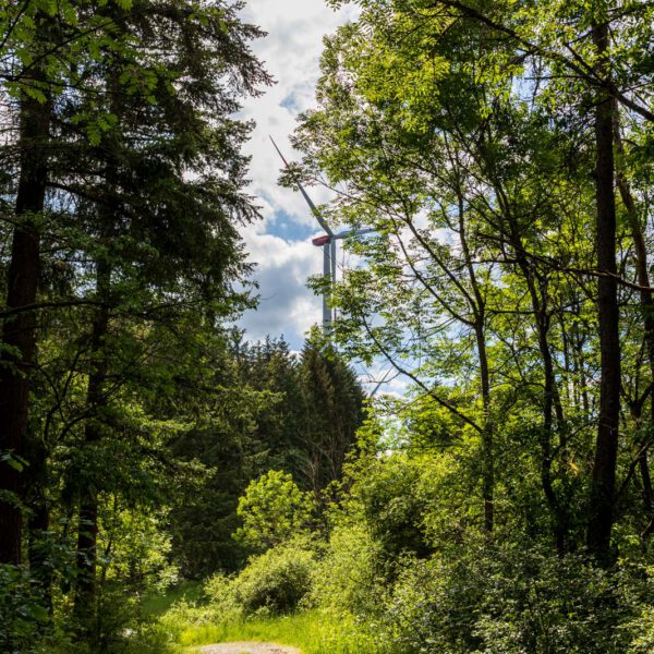 Deutschland, Europa, Europe, Extratour, Frühling, Germany, Hessen, Hessia, Hinterland, Lahn-Dill-Bergland, Location, Ort, Spring, Wandern