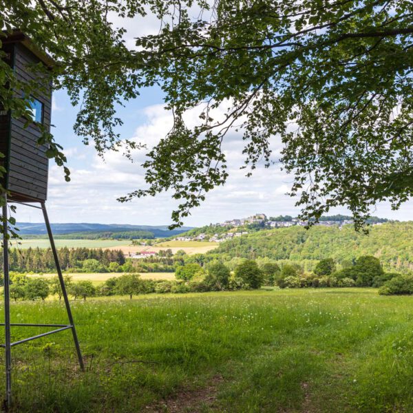 Deutschland, Europa, Europe, Extratour, Frühling, Germany, Hessen, Hessia, Hinterland, Lahn-Dill-Bergland, Location, Ort, Spring, Wandern
