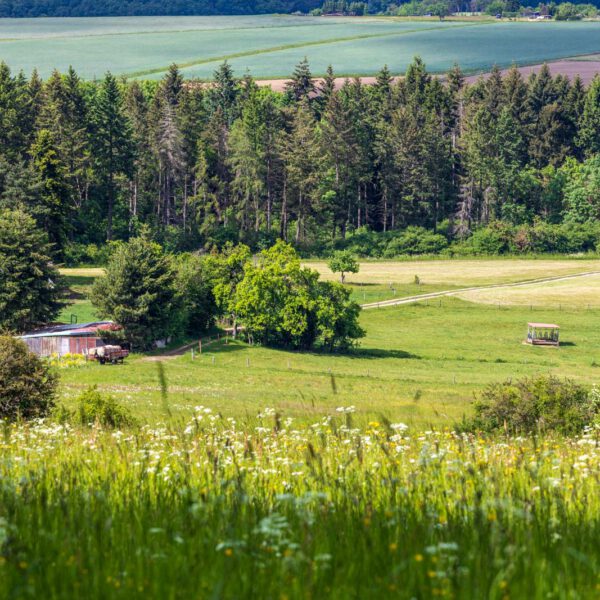 Deutschland, Europa, Europe, Extratour, Frühling, Germany, Hessen, Hessia, Hinterland, Lahn-Dill-Bergland, Location, Ort, Spring, Wandern