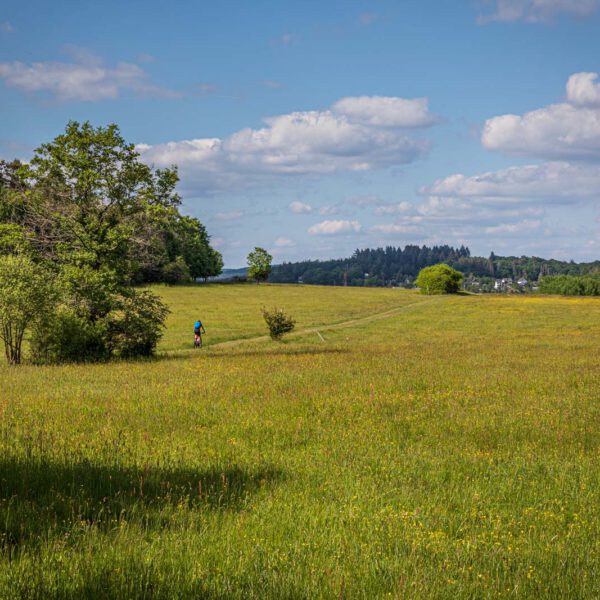 Deutschland, Europa, Europe, Extratour, Frühling, Germany, Hessen, Hessia, Hinterland, Lahn-Dill-Bergland, Location, Ort, Spring, Wandern
