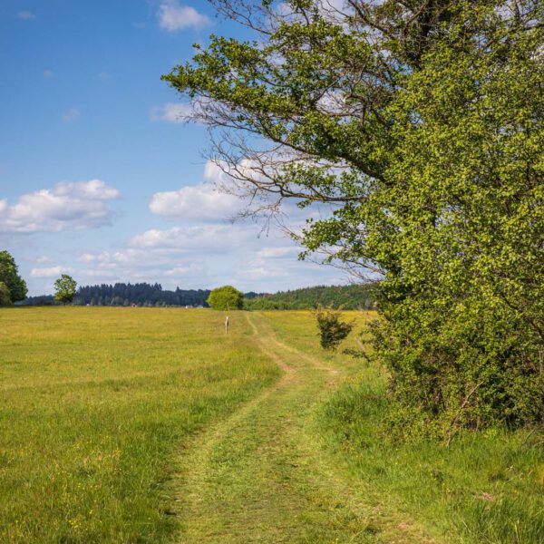 Deutschland, Europa, Europe, Extratour, Frühling, Germany, Hessen, Hessia, Hinterland, Lahn-Dill-Bergland, Location, Ort, Spring, Wandern