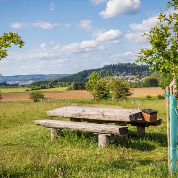 Deutschland, Europa, Europe, Extratour, Frühling, Germany, Hessen, Hessia, Hinterland, Lahn-Dill-Bergland, Location, Ort, Spring, Wandern