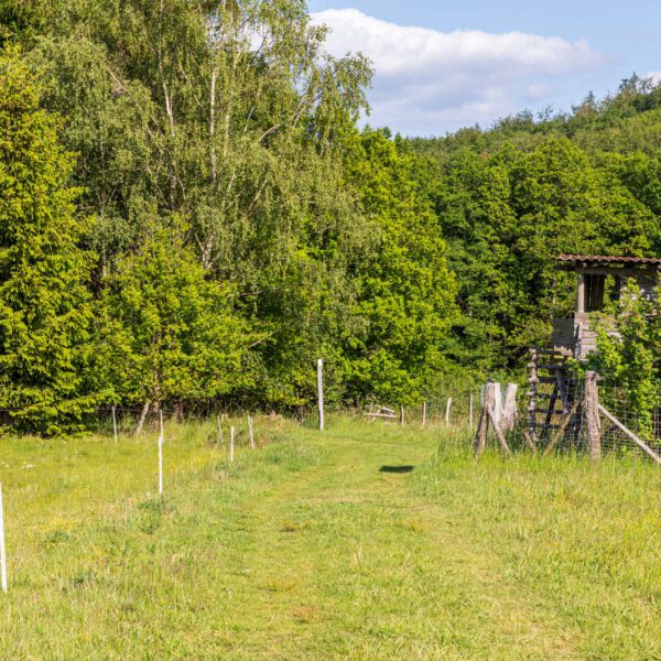 Deutschland, Europa, Europe, Extratour, Frühling, Germany, Hessen, Hessia, Hinterland, Lahn-Dill-Bergland, Location, Ort, Spring, Wandern