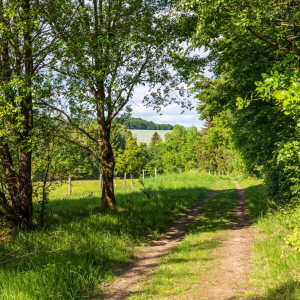 Deutschland, Europa, Europe, Extratour, Frühling, Germany, Hessen, Hessia, Hinterland, Lahn-Dill-Bergland, Location, Ort, Spring, Wandern