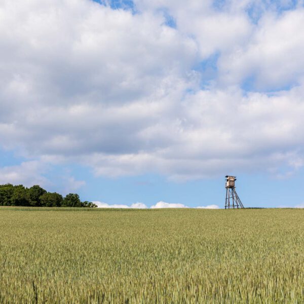 Deutschland, Europa, Europe, Extratour, Frühling, Germany, Hessen, Hessia, Hinterland, Lahn-Dill-Bergland, Location, Ort, Spring, Wandern