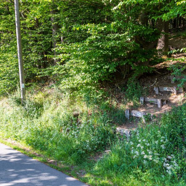 Deutschland, Europa, Europe, Extratour, Frühling, Germany, Hessen, Hessia, Hinterland, Lahn-Dill-Bergland, Location, Ort, Spring, Wandern