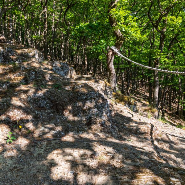 Deutschland, Europa, Europe, Extratour, Frühling, Germany, Hessen, Hessia, Hinterland, Lahn-Dill-Bergland, Location, Ort, Spring, Wandern