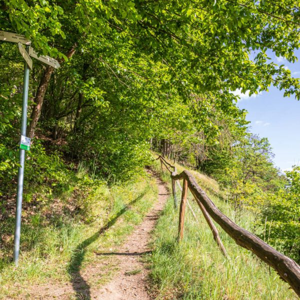 Deutschland, Europa, Europe, Extratour, Frühling, Germany, Hessen, Hessia, Hinterland, Lahn-Dill-Bergland, Location, Ort, Spring, Wandern