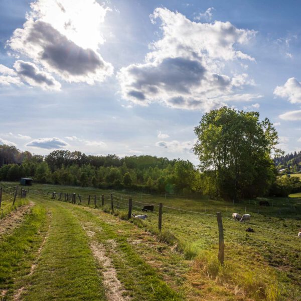 Deutschland, Europa, Europe, Extratour, Frühling, Germany, Hessen, Hessia, Hinterland, Lahn-Dill-Bergland, Location, Ort, Spring, Wandern