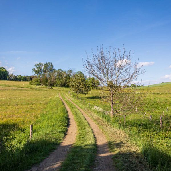 Deutschland, Europa, Europe, Extratour, Frühling, Germany, Hessen, Hessia, Hinterland, Lahn-Dill-Bergland, Location, Ort, Spring, Wandern
