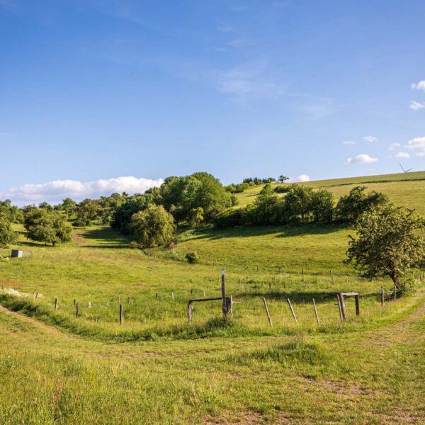 Deutschland, Europa, Europe, Extratour, Frühling, Germany, Hessen, Hessia, Hinterland, Lahn-Dill-Bergland, Location, Ort, Spring, Wandern