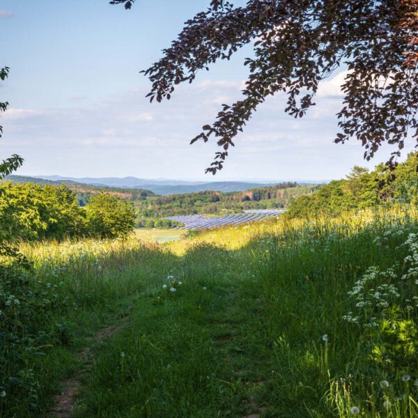 Deutschland, Europa, Europe, Extratour, Frühling, Germany, Hessen, Hessia, Hinterland, Lahn-Dill-Bergland, Location, Ort, Spring, Wandern