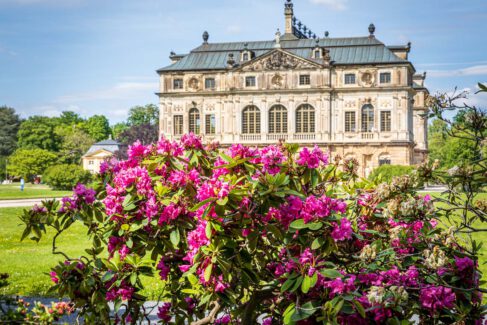 Deutschland, Dresden, Europa, Europe, Frühling, Germany, Location, Ort, Sachsen, Saxony, Spring, Urlaub, Vaccation