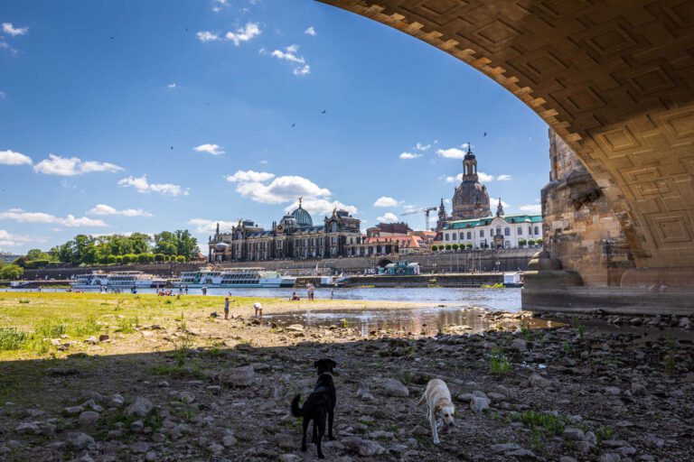 Deutschland, Dresden, Europa, Europe, Frühling, Germany, Location, Ort, Sachsen, Saxony, Spring, Urlaub, Vaccation