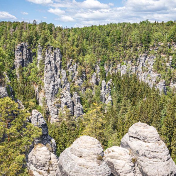 Deutschland, Europa, Europe, Frühling, Germany, Location, Ort, Sachsen, Saxony, Spring, Urlaub, Vaccation