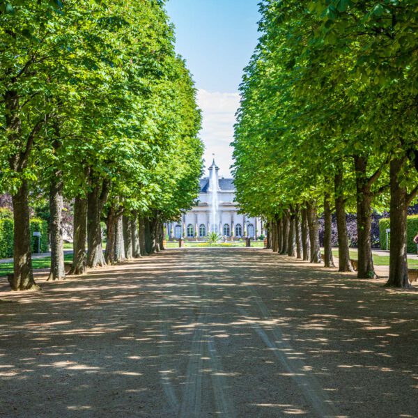 Deutschland, Europa, Europe, Frühling, Germany, Location, Ort, Sachsen, Saxony, Spring, Urlaub, Vaccation