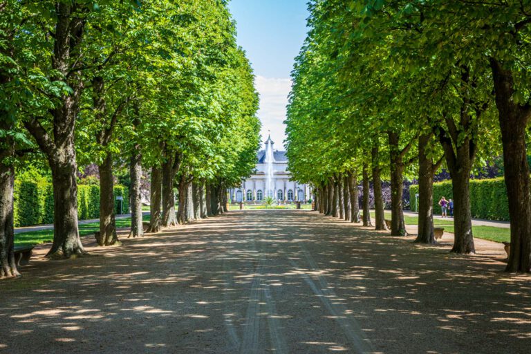 Deutschland, Europa, Europe, Frühling, Germany, Location, Ort, Sachsen, Saxony, Spring, Urlaub, Vaccation