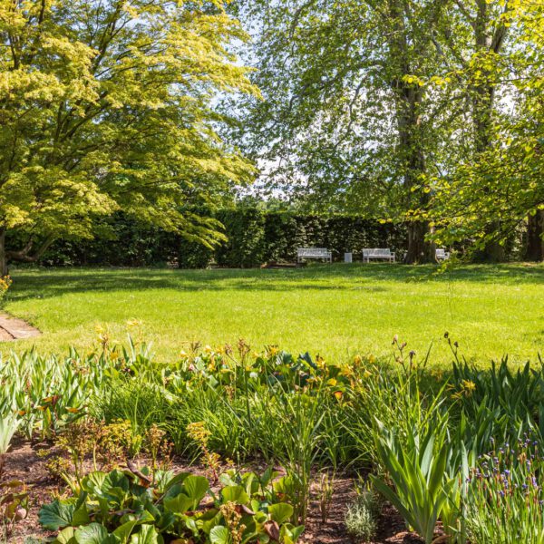 Deutschland, Europa, Europe, Frühling, Germany, Location, Ort, Sachsen, Saxony, Spring, Urlaub, Vaccation