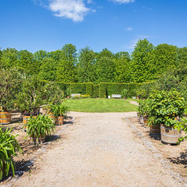 Deutschland, Europa, Europe, Frühling, Germany, Location, Ort, Sachsen, Saxony, Spring, Urlaub, Vaccation